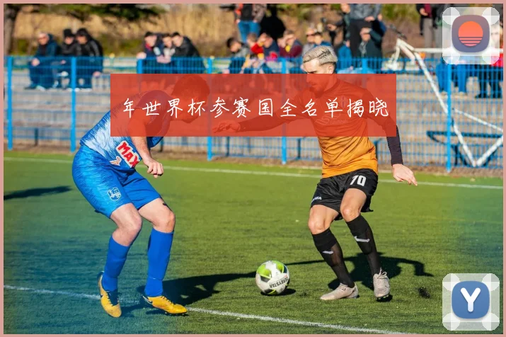 年世界杯参赛国全名单揭晓