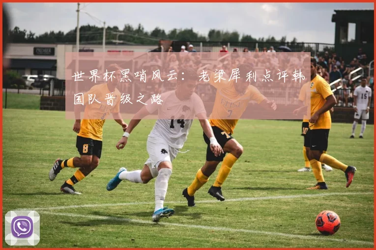 世界杯黑哨风云：老梁犀利点评韩国队晋级之路