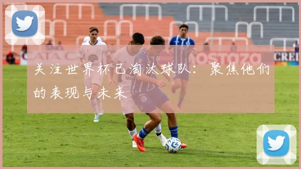 关注世界杯已淘汰球队：聚焦他们的表现与未来