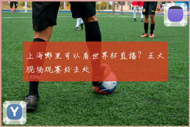 上海哪里可以看世界杯直播?五大现场观赛好去处