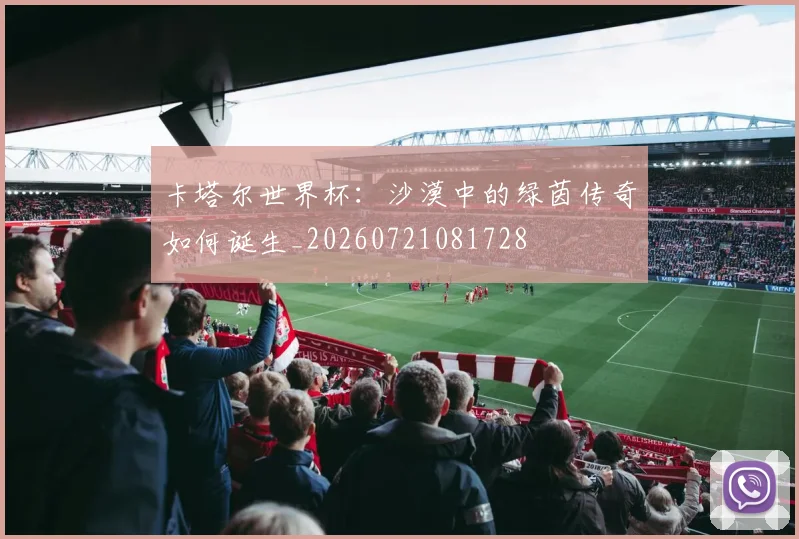 卡塔尔世界杯：沙漠中的绿茵传奇如何诞生_20260721081728