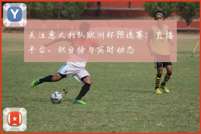 关注意大利队欧洲杯预选赛：直播平台、积分榜与实时动态